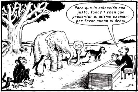 La desigualdad en la educación – Influencias que determinan estas desigualdades